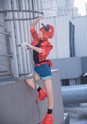 欧美激情一二区午夜-大结局国语版高清