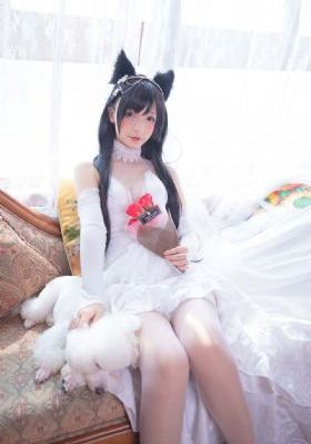 91视频免费黄-中文免费视频大全